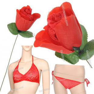 Bikini in Rose